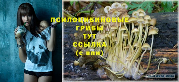 ГАЛЛЮЦИНОГЕННЫЕ ГРИБЫ Алексеевка