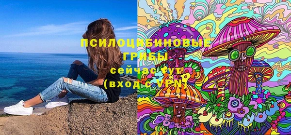 спайс Алзамай